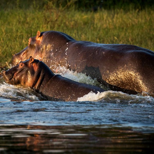 parc-national-de-lakagera-rwanda