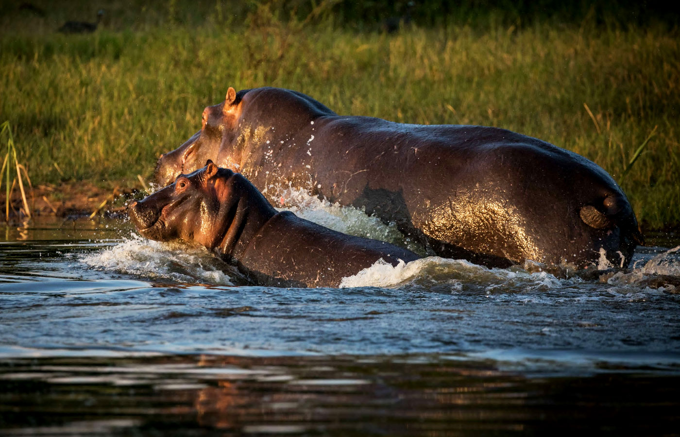 parc-national-de-lakagera-rwanda