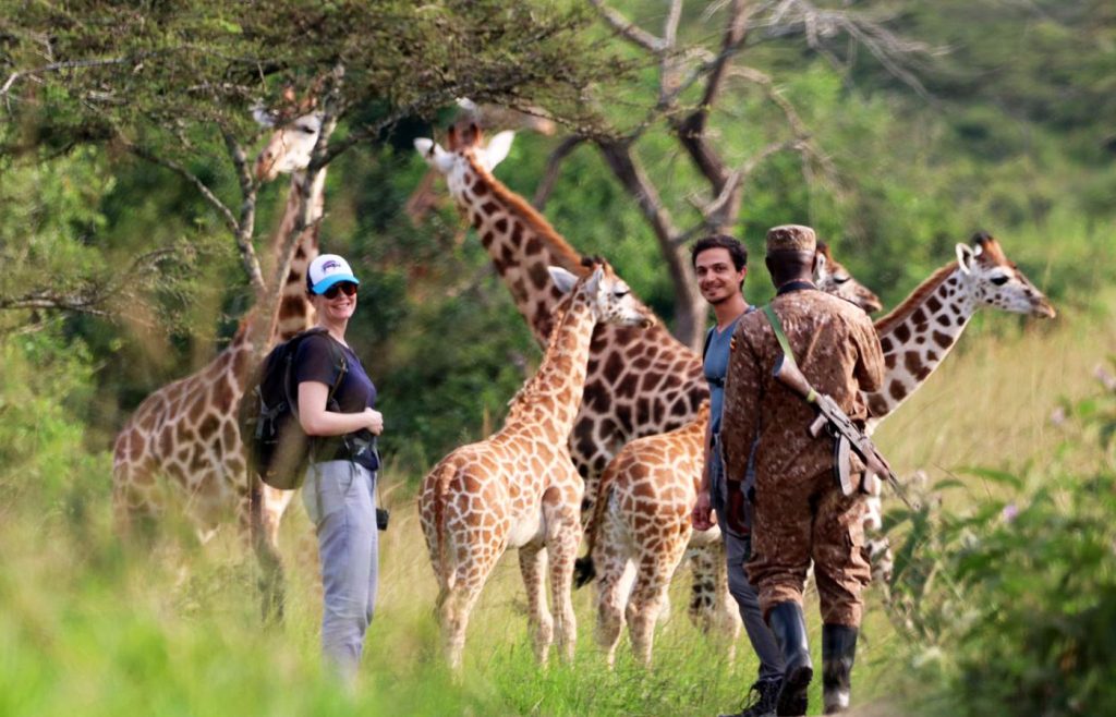 safari-de-9-jours-en-ouganda