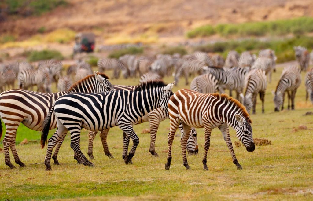 8-jours-de-vacances-daventure-au-kenya