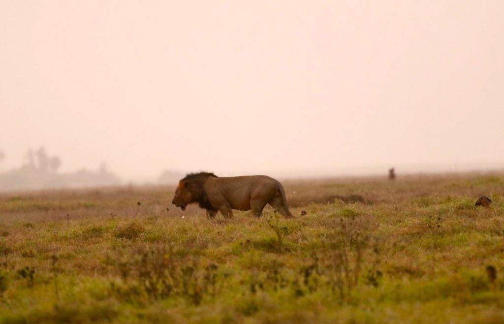 safari-de-5-jours-a-tsavo-west-et-amboseli
